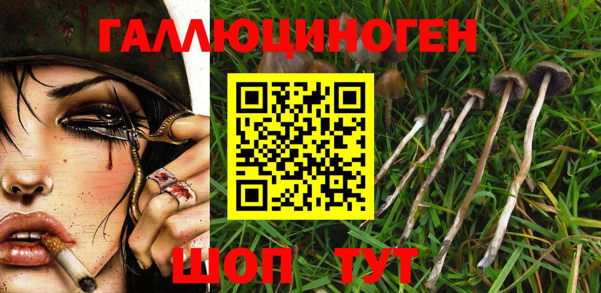 Усинск  Галлюциногенные грибы мухоморы  Вход с VPN 